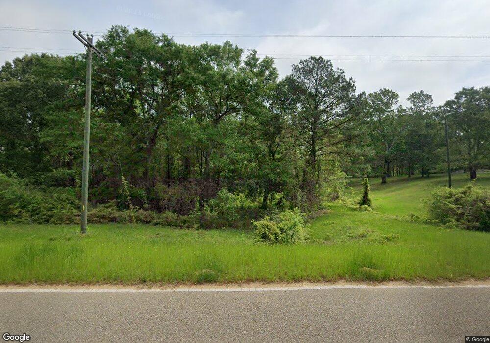1139 Old Union Rd, Fitzpatrick, AL 36029 - photo 1