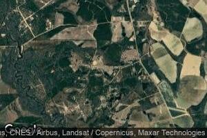 000 Clifford Meeks Rd, Collins, GA 30421