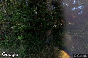 54309 182nd Avenue Ct E, Elbe, WA 98330