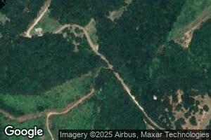233 Lolley Rd, Downsville, LA 71234
