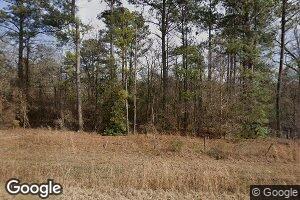 768 Herman Bell Rd, Mauk, GA 31058