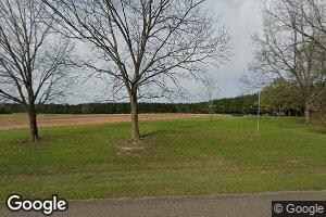 31685 Foley Rd, Red Level, AL 36474