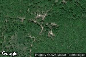 6928 E 56th St, Chase, MI 49623
