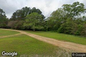 395 Blackjack Rd, Collins, MS 39428