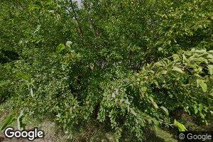 17893 479th St, Havelock, IA 50546