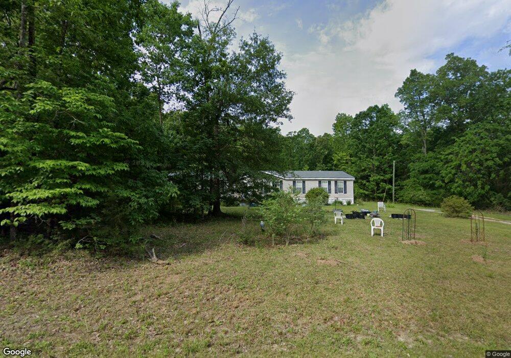 1106 Guise Rd, Chapin, SC 29036 - photo 1