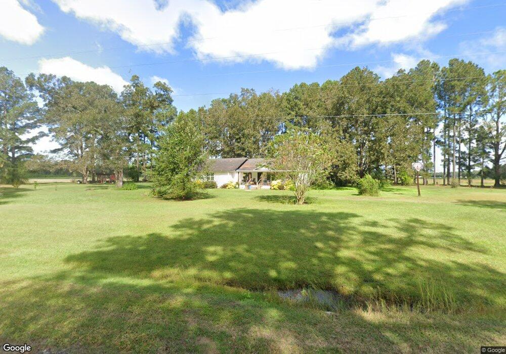 3195 Reese Rd, Baxley, GA 31513 - photo 1