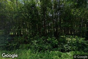 1183 Marvis Chapman Rd, Ideal, GA 31041