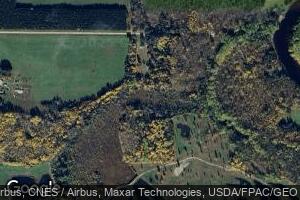 6938 Town Road 255, Littlefork, MN 56653