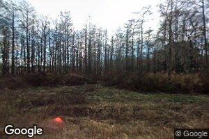4062 Bell Pond Rd, Newton, GA 39870