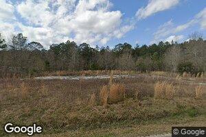 175 Shorty Burgess Rd, Picayune, MS 39466