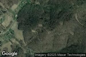 645 Statler Run Rd, Fairview, WV 26570
