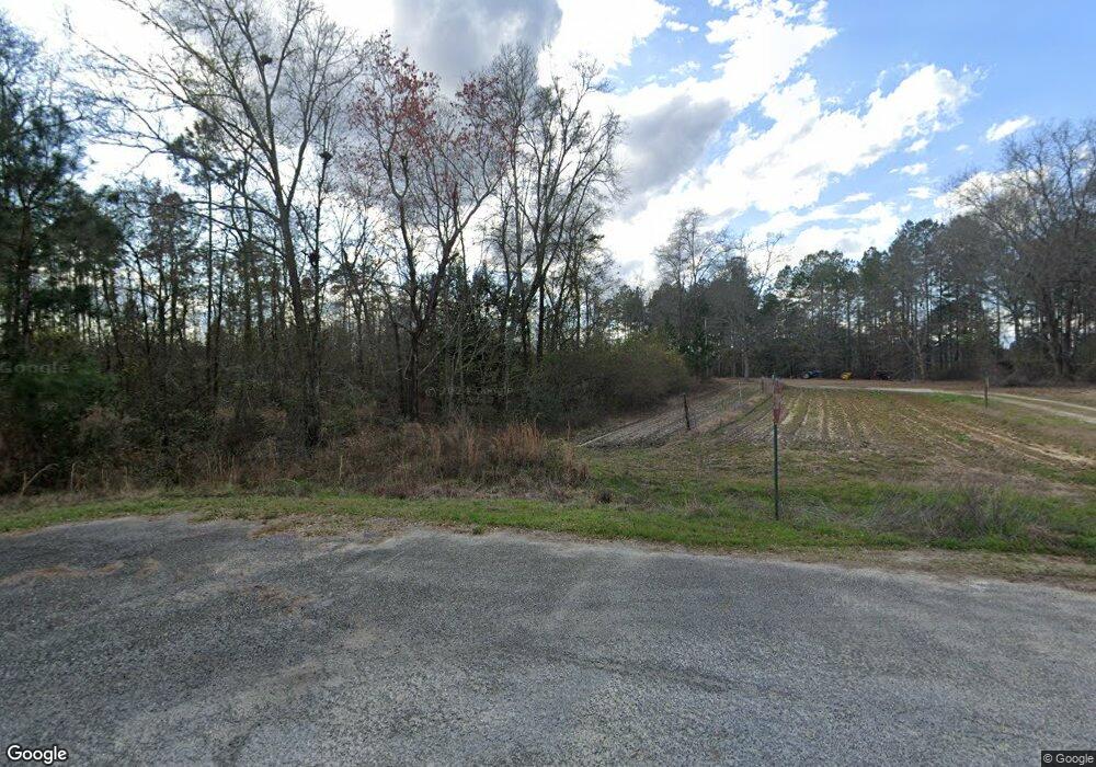 401 Thunder Rd, Claxton, GA 30417 - photo 1