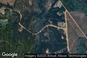 0 Nancy Ln, Ailey, GA 30410