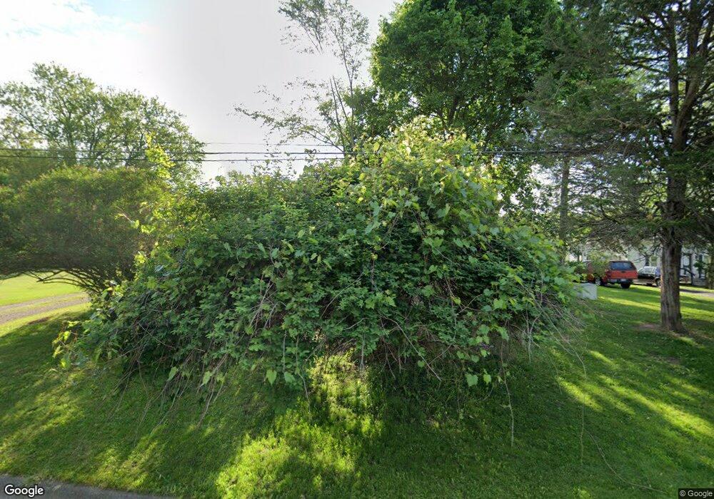 313 Lynn St, Flushing, MI 48433 - photo 1