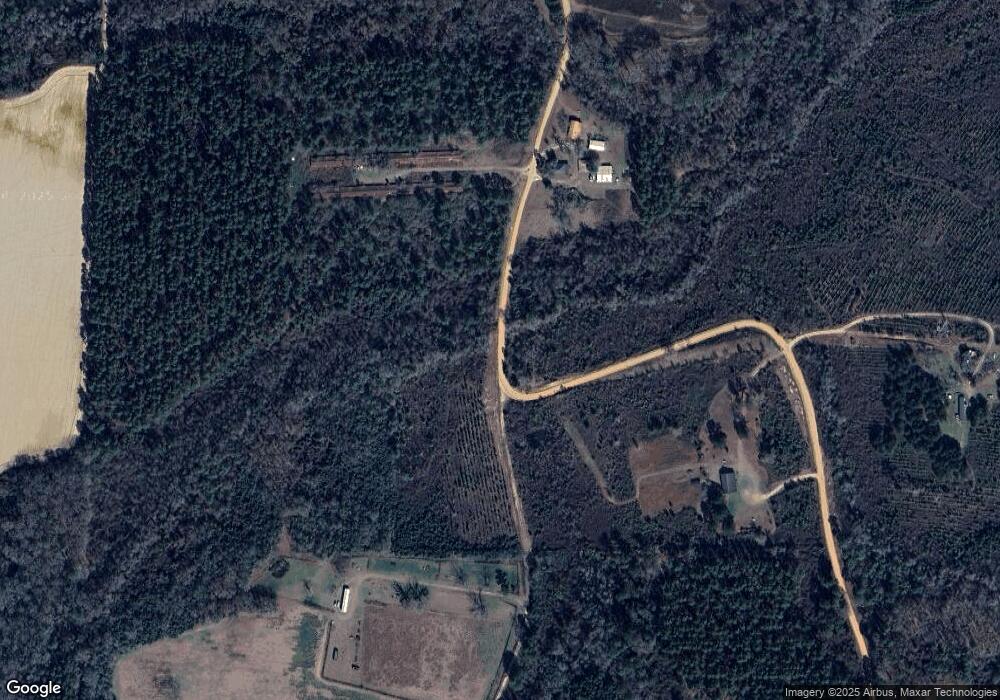 00 Selvin Williams Rd, Axson, GA 31624 - photo 1