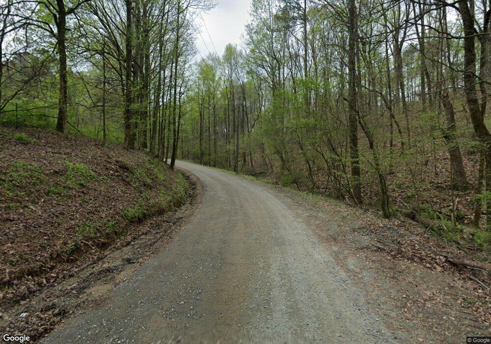 59.36ac Leeches Rd, Ellijay, GA 30540 - photo 1