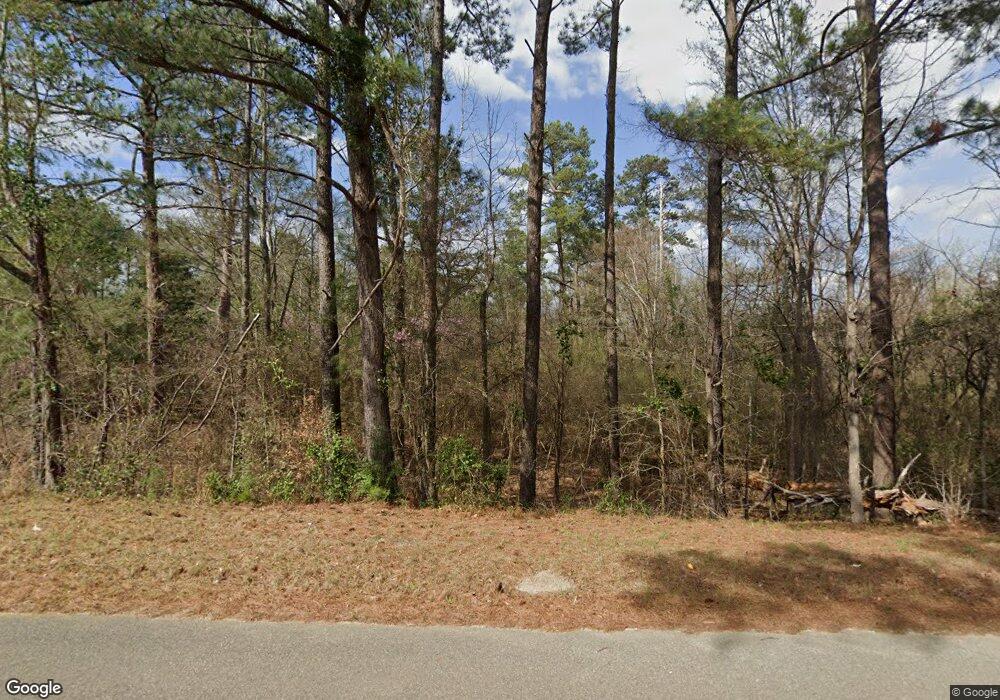 453 Rockhouse Rd E, Cordele, GA 31015 - photo 1