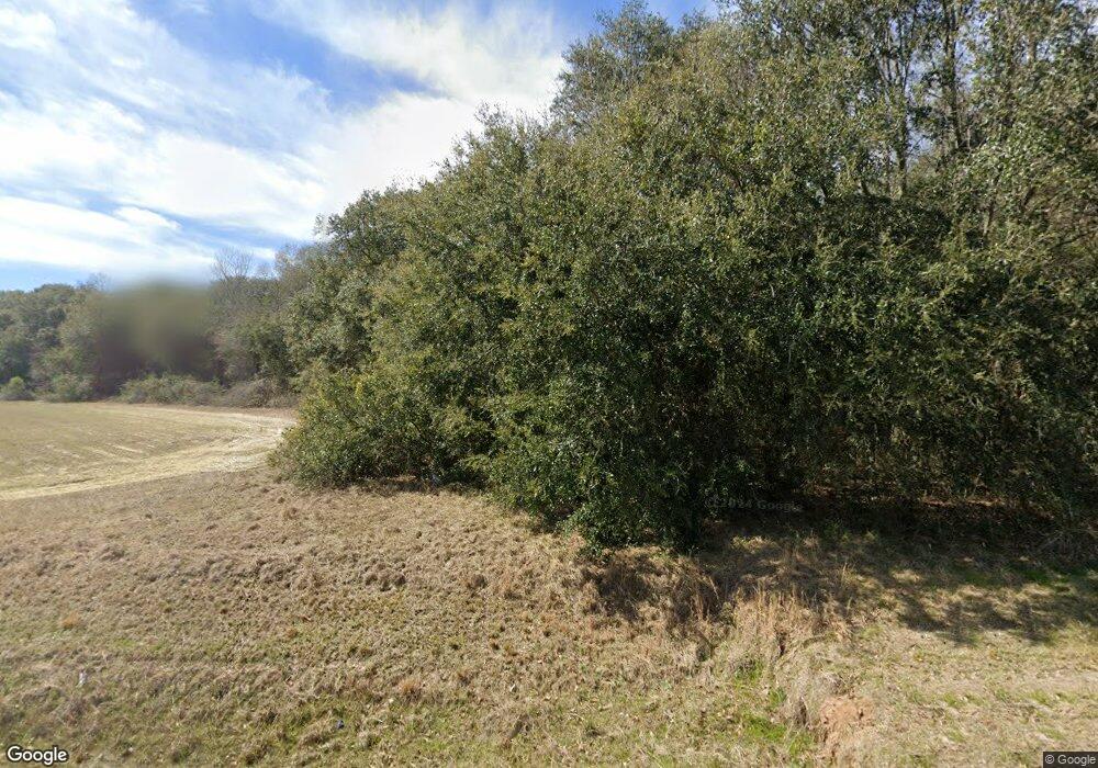 1611 Mitchell County Line Rd, Hartsfield, GA 31756 - photo 1