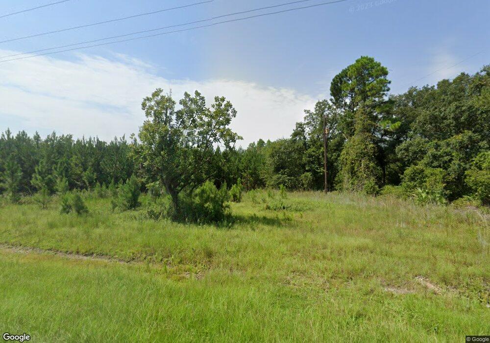 2056 High Bluff Rd, Hoboken, GA 31542 - photo 1