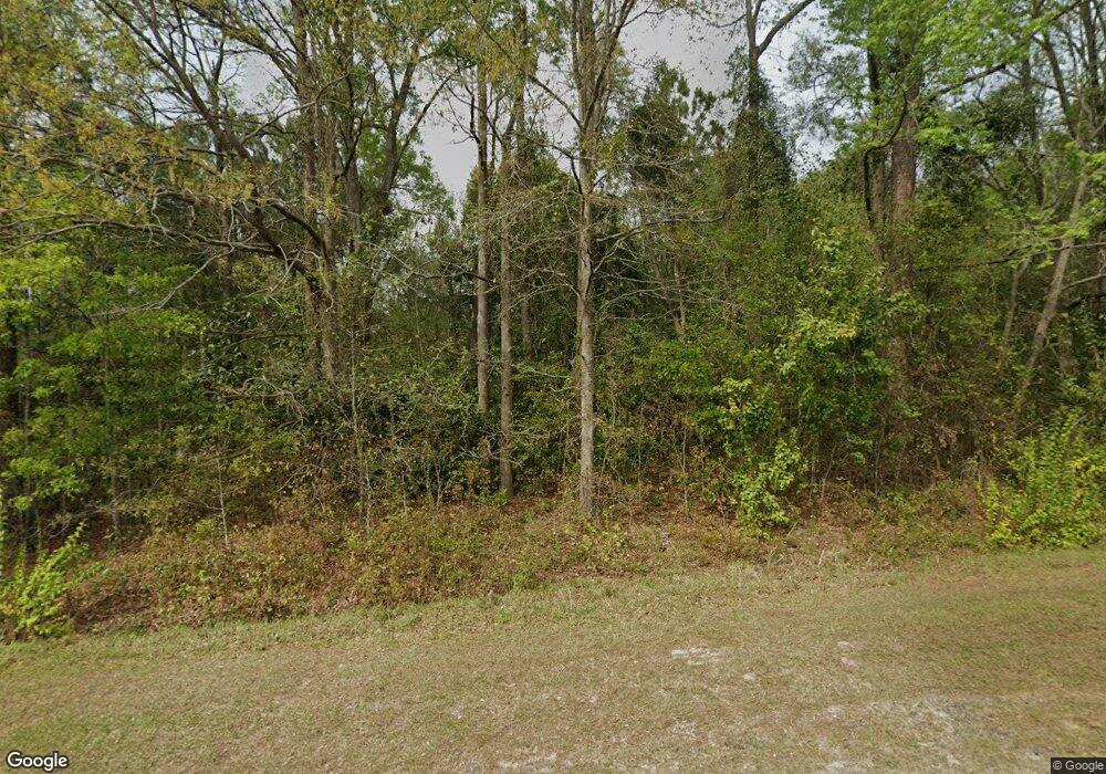 204 Mill Creek Ln, Cairo, GA 39828 - photo 1