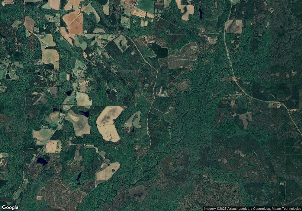 Lot 8 Dickey Ferry Ln unit 8, Cairo, GA 39828 - photo 1