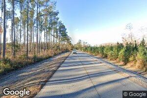 0 Clyo-Kildare Rd Unit 8555021, Newington, GA 30446