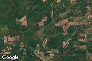 11019 Saddleback Rd, Plainview, AR 72857