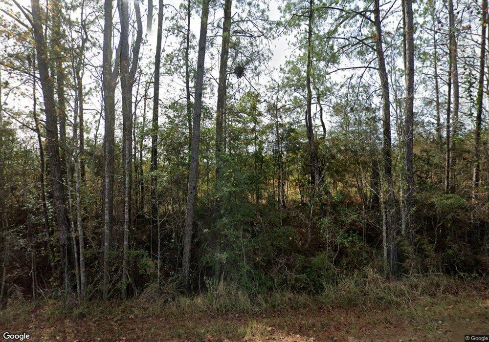 3293 River Rd, Lucedale, MS 39452 - photo 1