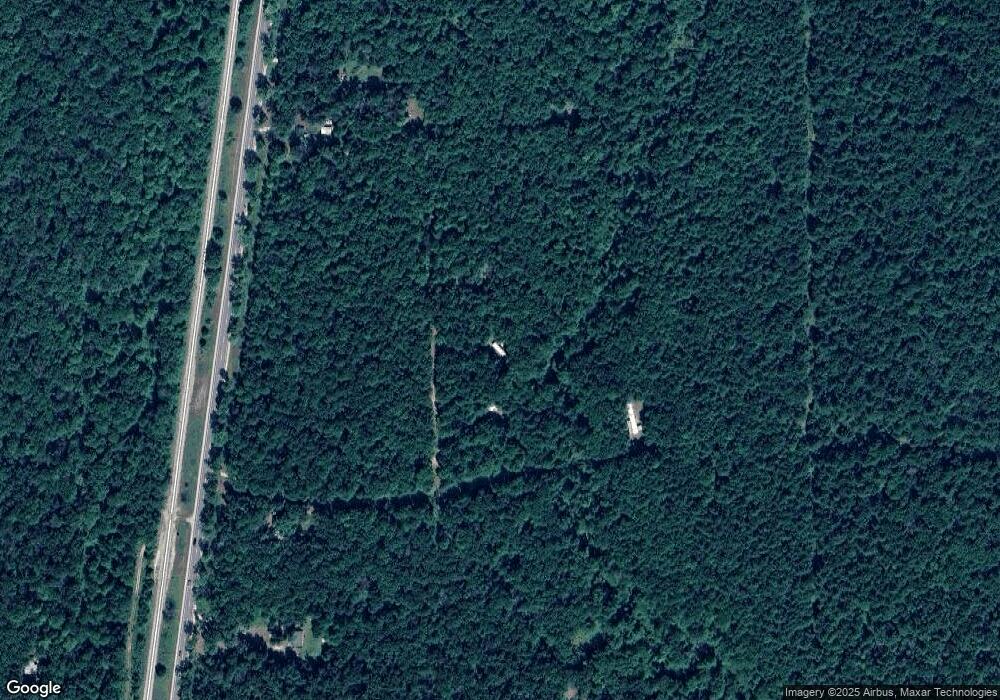 13366 N Cedar Trail, Bitely, MI 49309 - photo 1