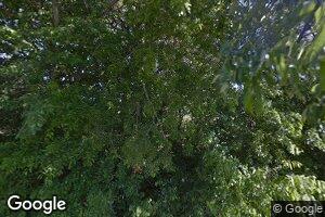 610 W Myers St, Terrell, TX 75160