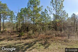14496 Goldeneye Rd, Weeki Wachee, FL 34614