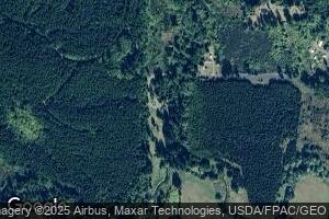 265 Dunivan Rd, Vader, WA 98593