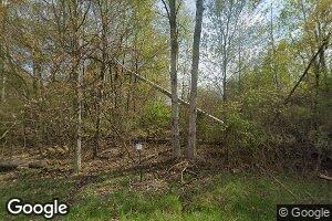 8371 W Howe Rd, Eagle, MI 48822