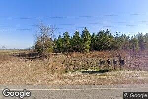 3930 Thompson Pond Rd, Tarrytown, GA 30470