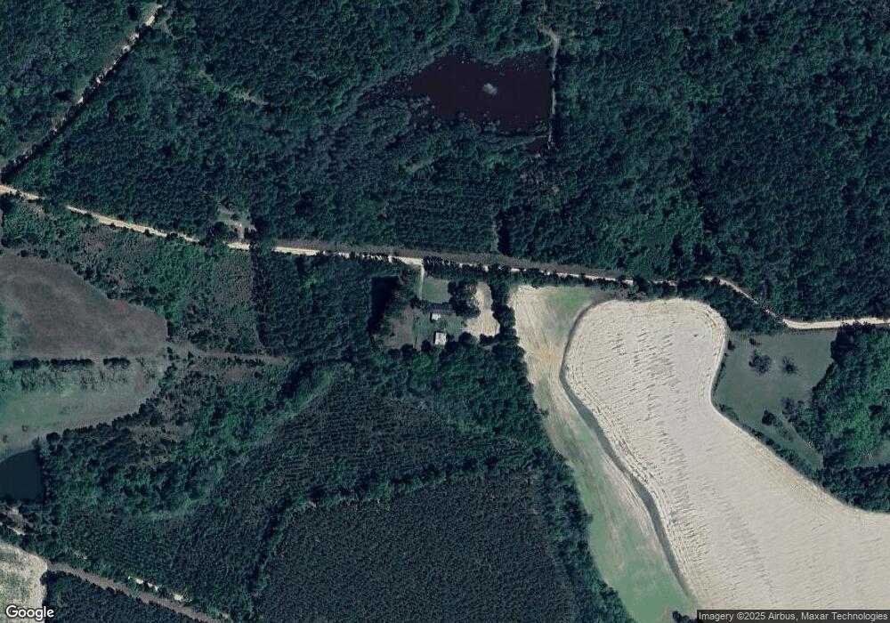 1253 Daffodil Rd, Wray, GA 31798 - photo 1