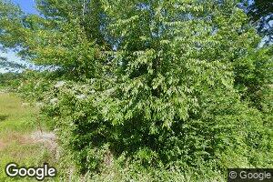 175 Mayflower Trail, Hamilton, AL 35570