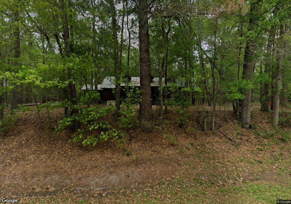 4302 Ridge Rd, Pelham, GA 31779 - photo 1