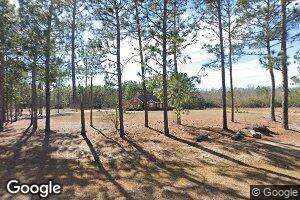 2891 Dennis Oliver Rd, Collins, GA 30421