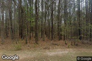 1335 Klopfer Rd Unit Lot 1, Juliette, GA 31046
