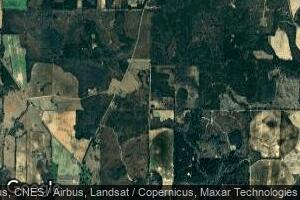 0 Joe Ray McNeil Rd, Gordon, AL 36343
