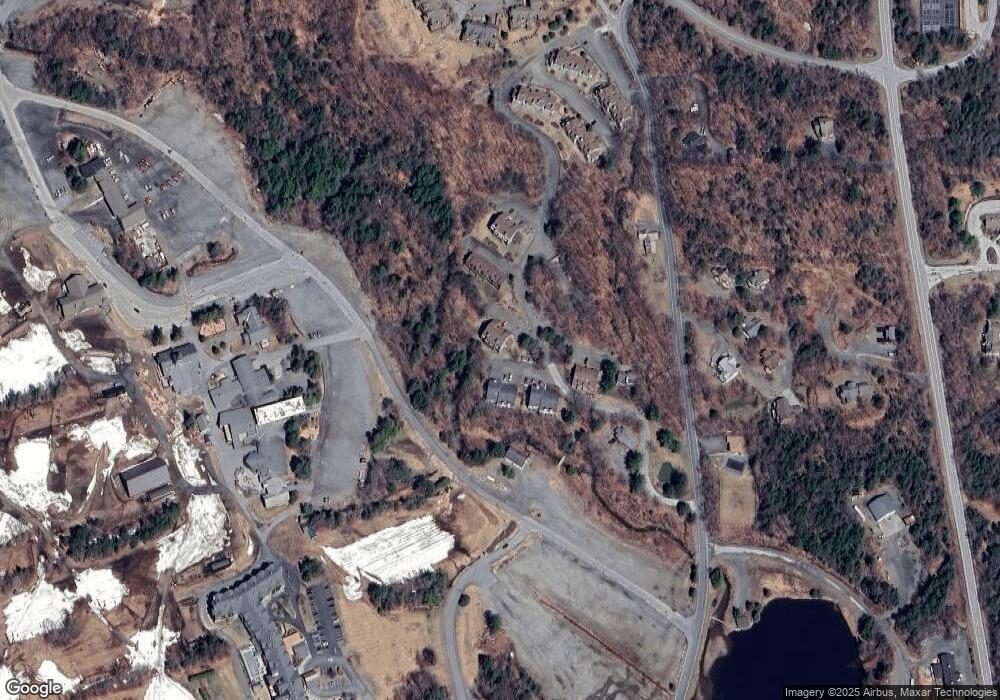 13 C Snowtree Lane (Willows) unit 13, Dover, VT 05356 - photo 1