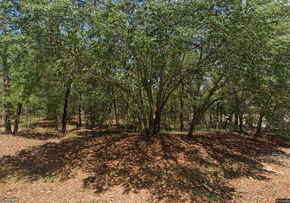 9725 N Calla Lily Way, Citrus Springs, FL 34433 - photo 1