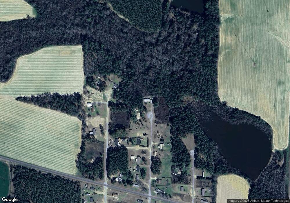 121 Michael Ln, Sumner, GA 31789 - photo 1