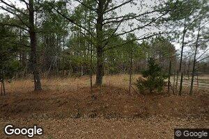 95 Jc Pickett Dr, Finger, TN 38334