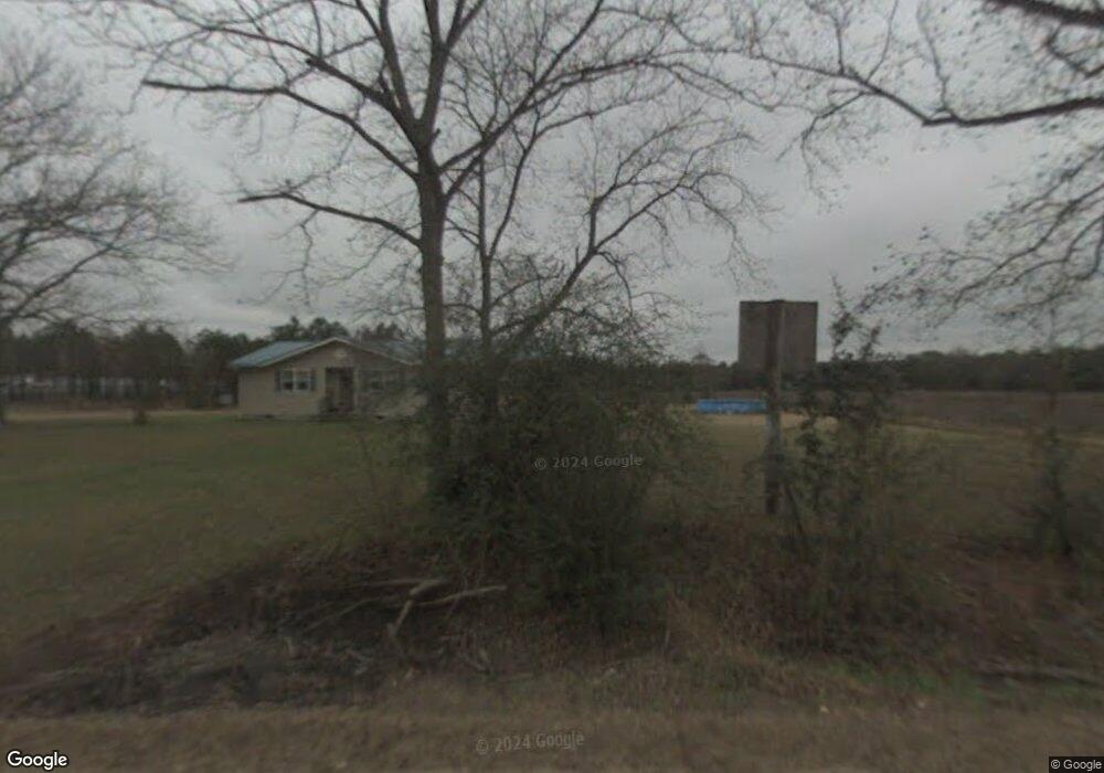 2496 Forty Niner Rd, Pelham, GA 31779 - photo 1