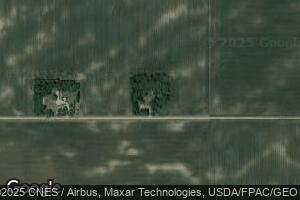 2036 220th St, Truman, MN 56088