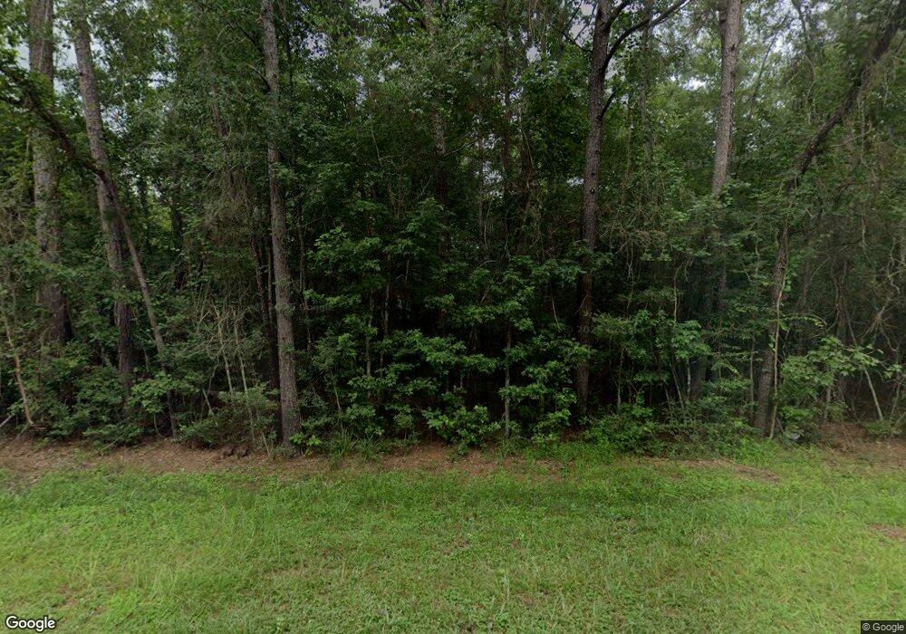 30810 Chelsie Place, Magnolia, TX 77354 - photo 1