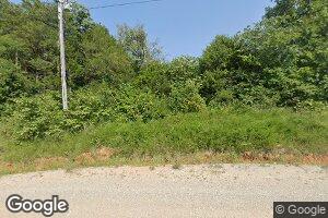 161 Moonlight Terrace, Gamaliel, AR 72537