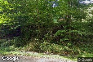 572 W Terry Clove Rd, Delancey, NY 13752